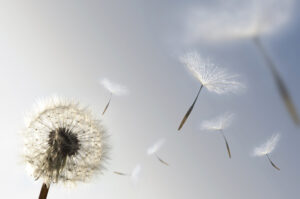 Forgiveness: The Forgotten Success Skill